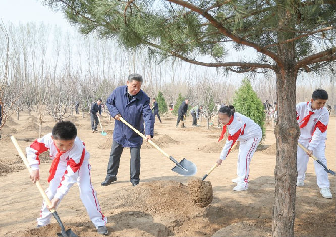 义务植树照片.jpg