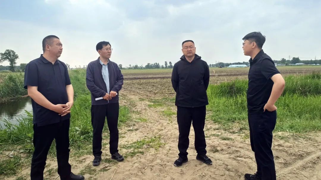 邱军实地查看伊辽排干、甘铁排干.jpg